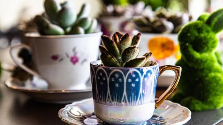 15 DIY Kitchen Garden Hacks You’ll Actually Want to Use