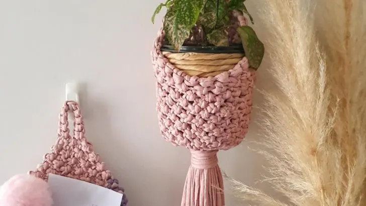 15 DIY Plant Hangers You Can Make in Under an Hour