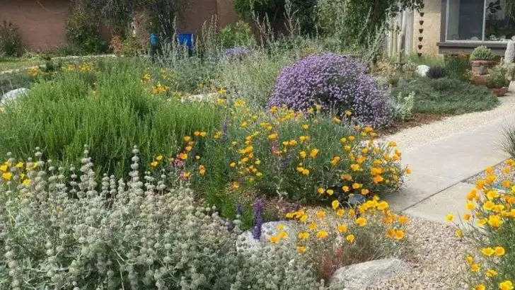 15 Drought-Tolerant Herbs That Taste Better With Less Water
