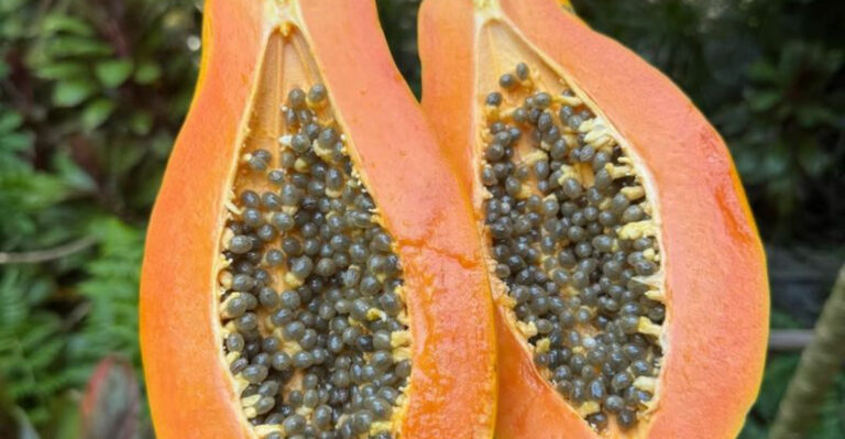 15 Edible Plants That Also Work as Natural Skincare (Yes, Really)