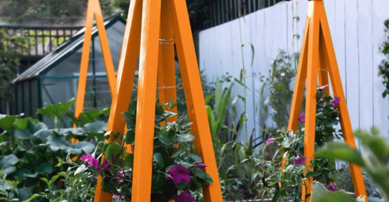 15 Garden Décor Ideas That Double as Plant Trellises