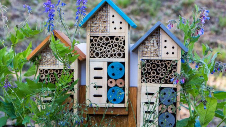 15 Garden Decor Ideas That Start With One Clay Pot