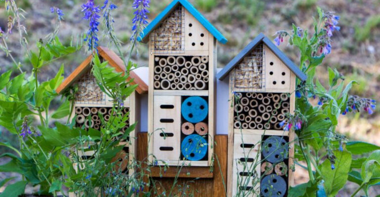 15 Garden Decor Ideas That Start With One Clay Pot