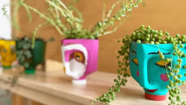 15 Hanging Planters You Can Make From Stuff in Your Kitchen