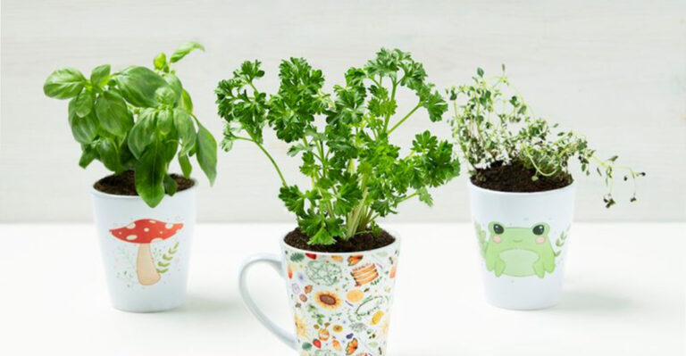 15 Herbs You Can Grow in a Coffee Mug on Your Desk