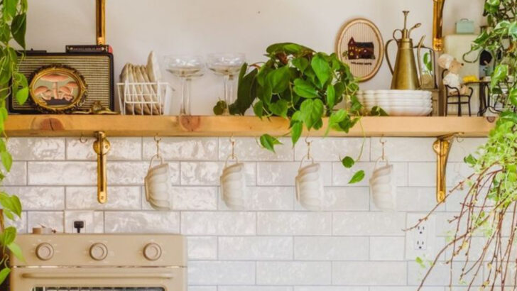 15 Herbs You Can Grow on a Kitchen Shelf Without Any Sunlight