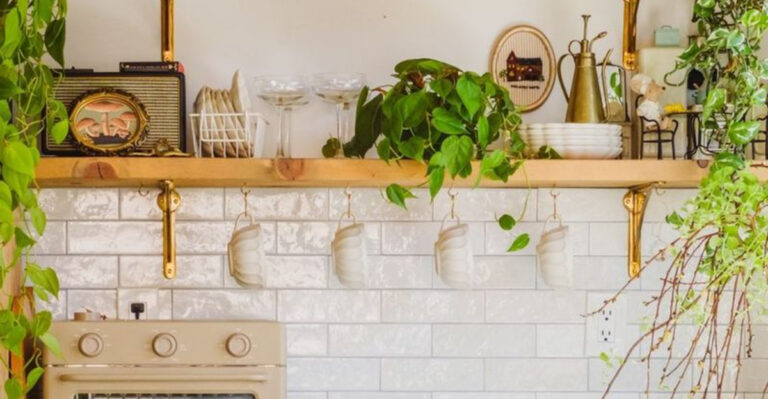 15 Herbs You Can Grow on a Kitchen Shelf Without Any Sunlight