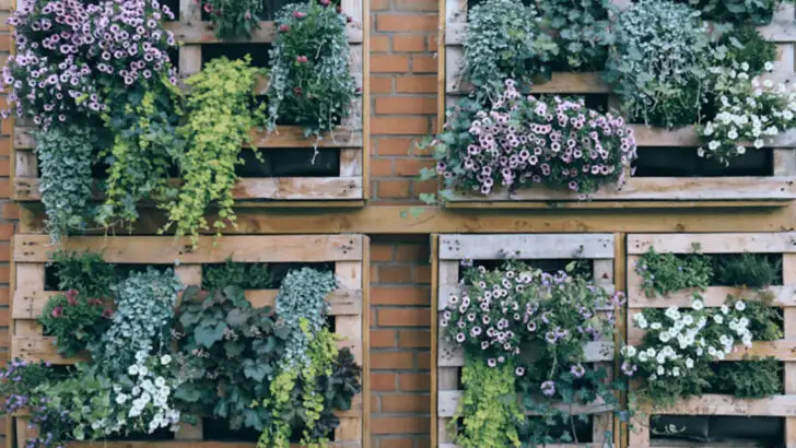 15 Mistakes That Are Making Your Garden Look Smaller Than It Is (And Fixes That Work)