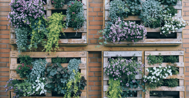 15 Mistakes That Are Making Your Garden Look Smaller Than It Is (And Fixes That Work)