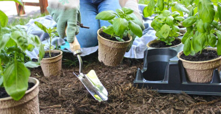 15 New Gardening Trends Taking Over Summer 2025 (And How to Make Them Work for You)