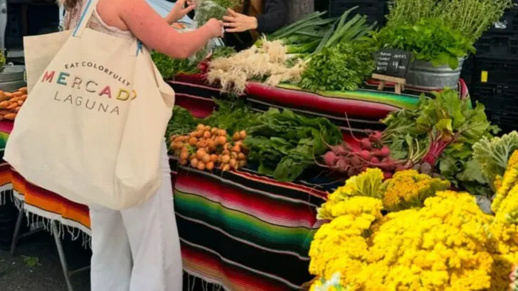 15 Places Where Summer Markets Overflow With Local Plants You Can Take Home