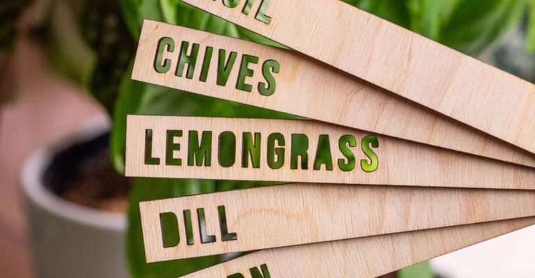 15 Quick Garden Fixes You Can Do Without Getting Dirty