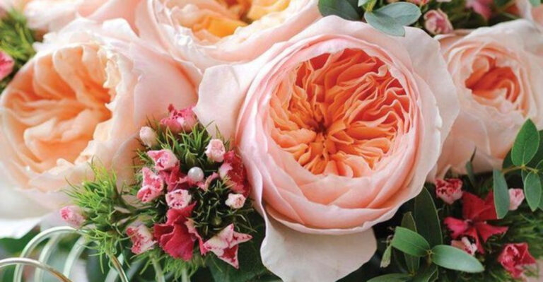 15 Rare Flowers That Bloom Only Once a Year—And How to Grow Them