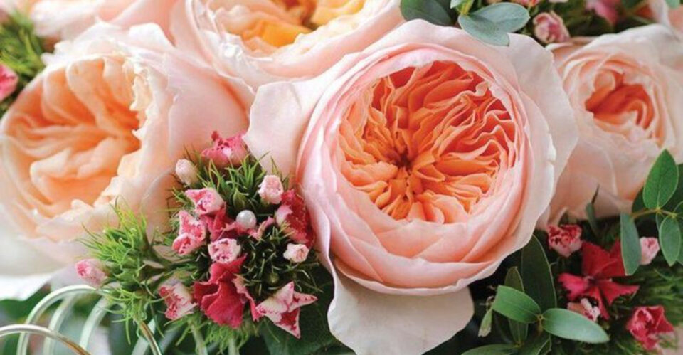 15 Rare Flowers That Bloom Only Once a Year—And How to Grow Them ...