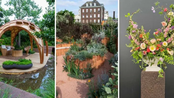 15 Reasons the Chelsea Flower Show Is Called the World Cup of Gardening