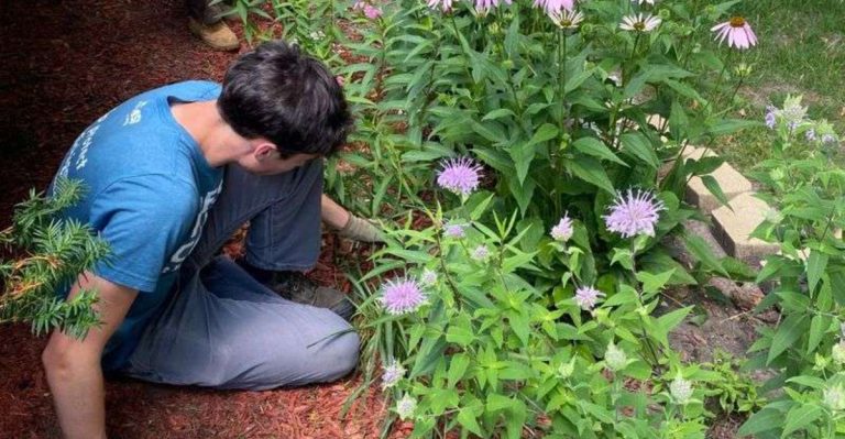 15 Simple Garden Jobs That Make You Look Like a Pro