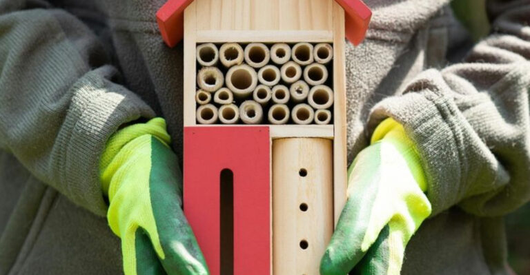 15 Simple Plant-Based Gifts That Will Wow Any Gardener