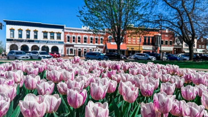 15 Small Towns That Go All Out for Plants Every Summer