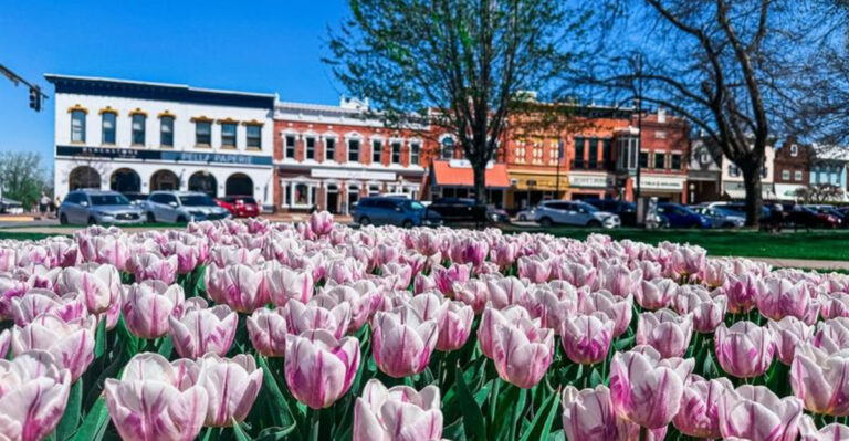 15 Small Towns That Go All Out for Plants Every Summer
