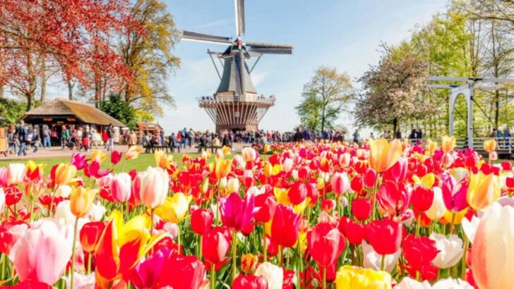 15 Towns Where Flower Festivals Take Over Every Summer