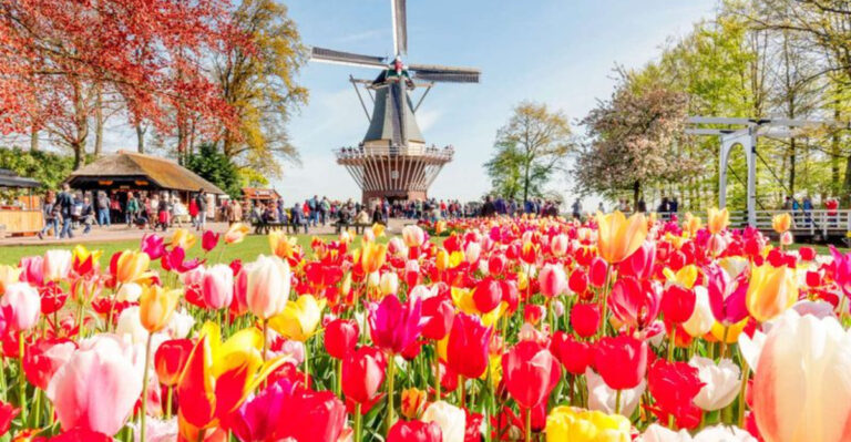 15 Towns Where Flower Festivals Take Over Every Summer