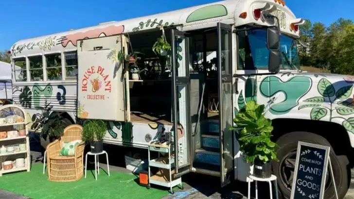 15 Unexpected Places Where People Are Growing Plants Just for Fun