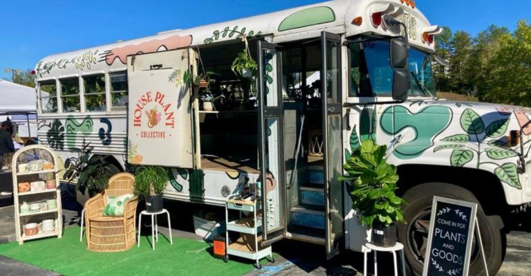 15 Unexpected Places Where People Are Growing Plants Just for Fun
