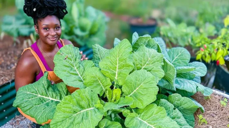 15 Vegetables You Can Grow Now and Still Harvest Before First Frost