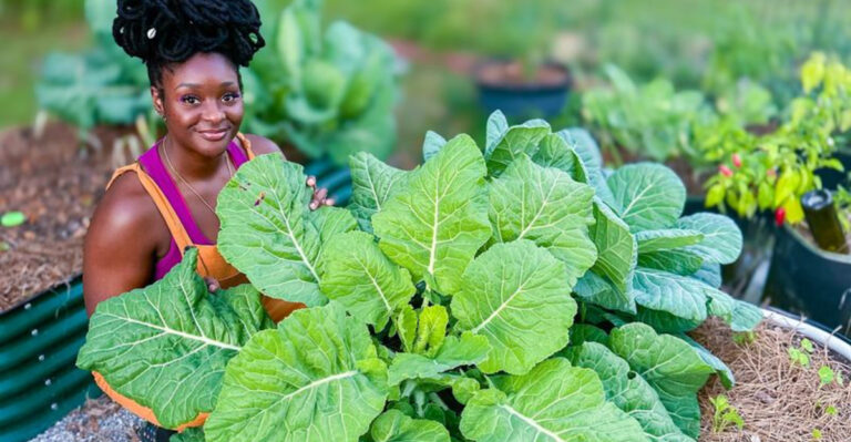 15 Vegetables You Can Grow Now and Still Harvest Before First Frost