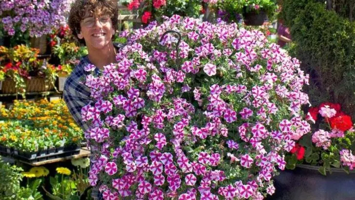 16 Cheap Fixes That Make Your Garden Look Expensive Instantly