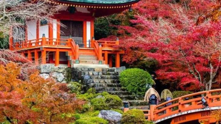 16 Cities Every Plant Lover Should Visit Before the Season Ends