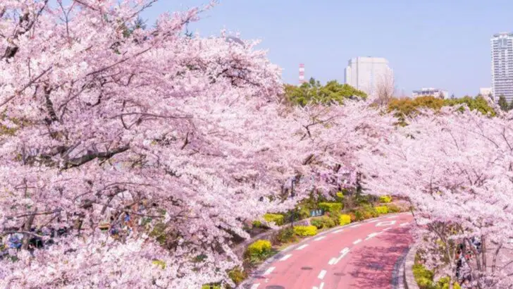 16 Cities Where Plants Take Over Public Spaces (And It’s Gorgeous)