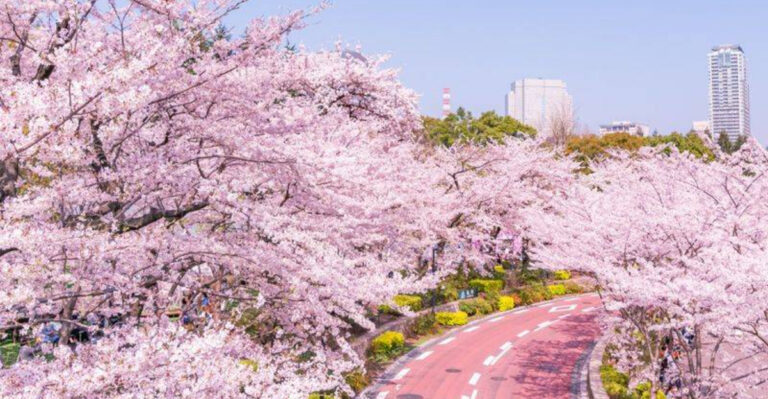 16 Cities Where Plants Take Over Public Spaces (And It’s Gorgeous)