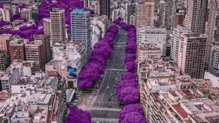 16 Cities Where Summer Is Basically a Flower Show (And Locals Love It)