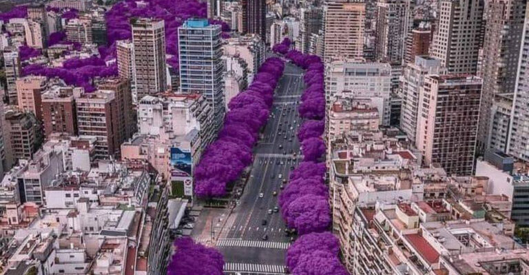 16 Cities Where Summer Is Basically a Flower Show (And Locals Love It)