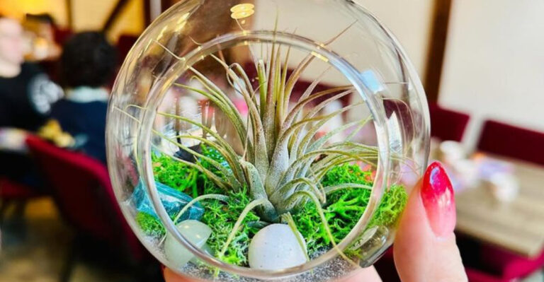 16 DIY Terrarium Ideas for Instant Indoor Zen