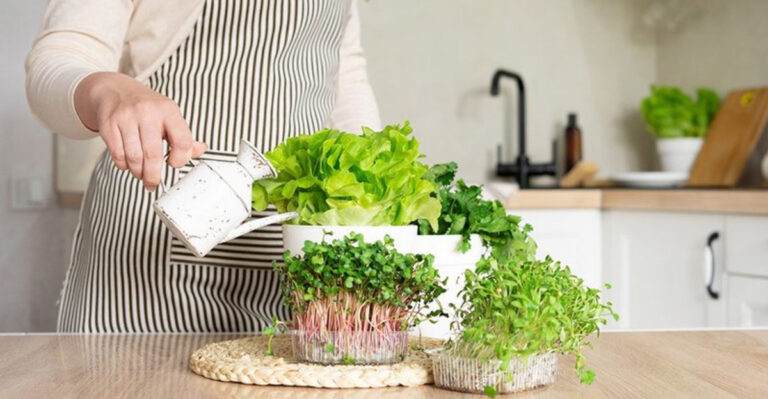 16 Edible Plants Perfect for Apartment Living (No Backyard Needed)