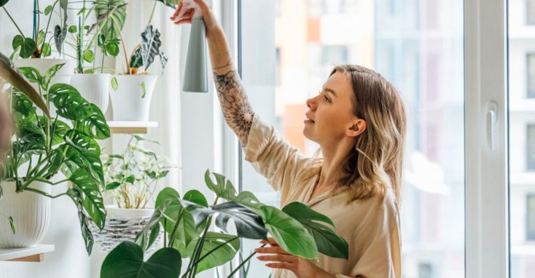 16 Gardening Myths That Waste Your Time (And What to Do Instead)