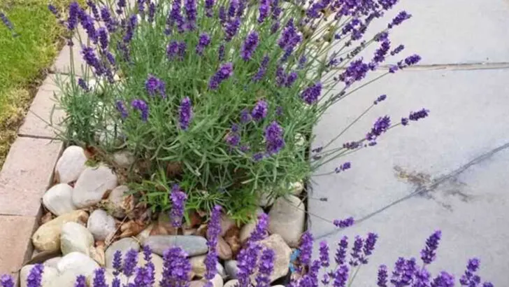 16 Indoor Plants That Grow Faster When You Talk to Them (Yes, Really)