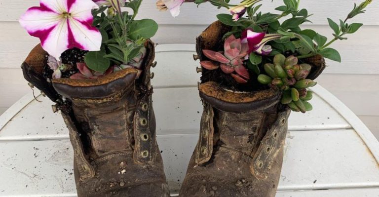 16 Places to Grow Plants Where No One Would Think to Look