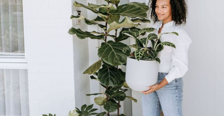 16 Plants That Grow Faster If You Ignore the Instructions on the Tag