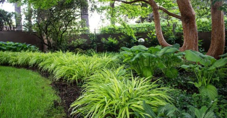 16 Plants You Thought Needed Sun—But Actually Prefer Shade (And Thrive There)
