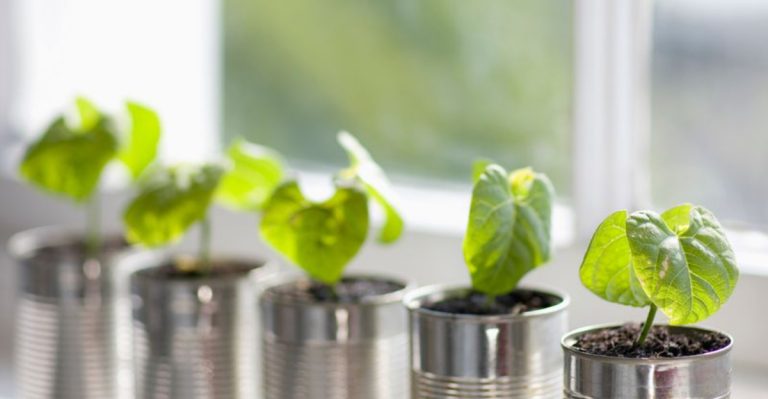 16 Recycled Items That Make Surprisingly Good Seed Starters
