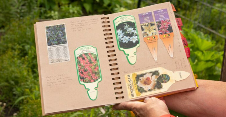 16 Things Gardeners Wish They Knew Before Killing Their First Plant