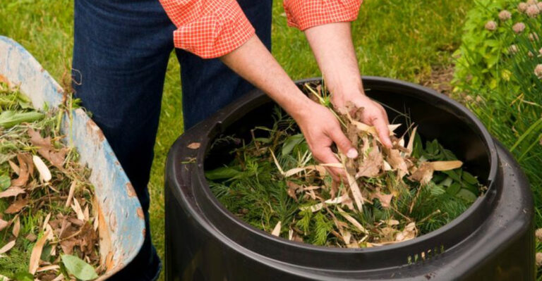 16 Things Plant Lovers Wish They Knew Before They Started Gardening