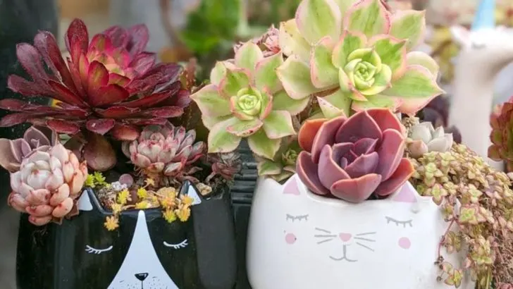 16 Things You Can Grow in an Old Mug (And Where to Put Them)