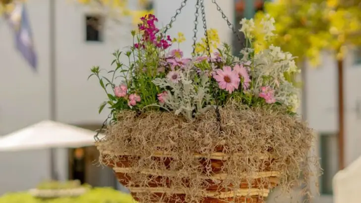 16 Tiny-Space Garden Ideas So Clever You’ll Want to Copy Them All