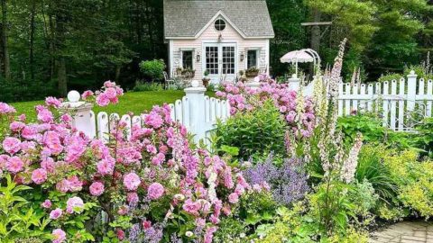 16 Unexpected Reasons Your Garden Isn’t Thriving (And Easy Fixes) - Plantisima
