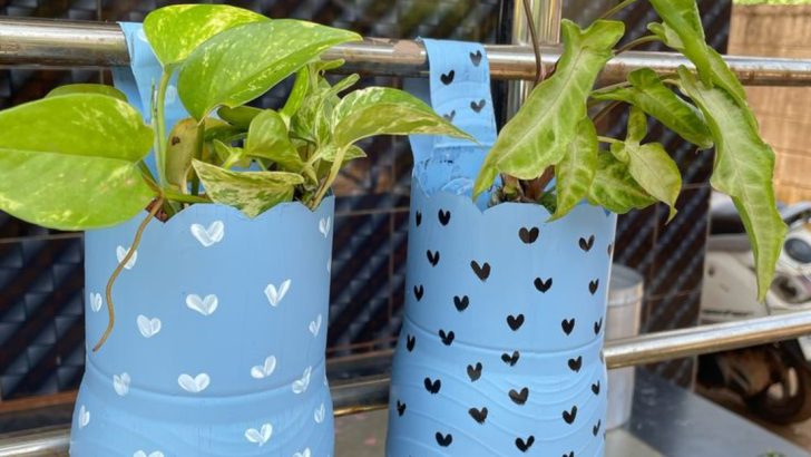 15 Creative Ways to Reuse Garden Plastic Waste