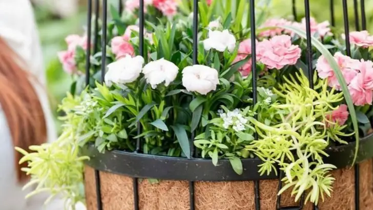 17 DIY Outdoor Decor Ideas That Look Way More Expensive Than They Are